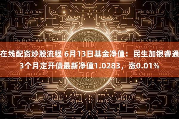 在线配资炒股流程 6月13日基金净值：民生加银睿通3个月定开债最新净值1.0283，涨0.01%